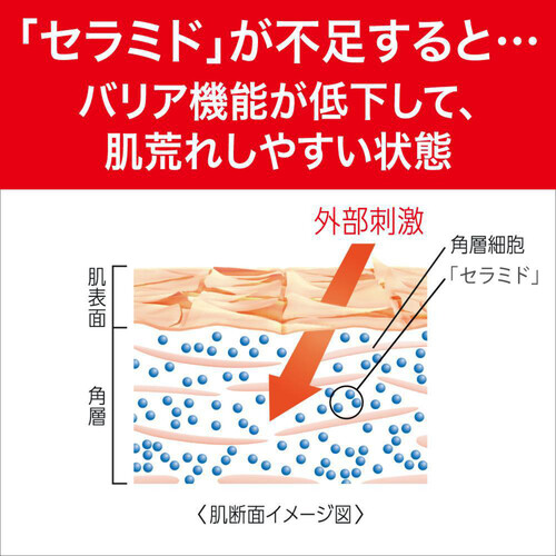 キュレル 潤浸保湿 化粧水 1ややしっとり 150ml