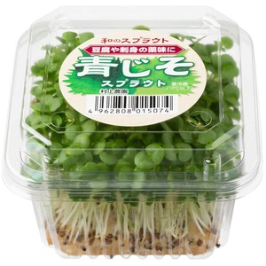 村上農園 青じそ スプラウト 1パック Green Beans | グリーンビーンズ