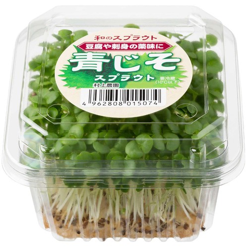 村上農園 青じそ スプラウト 1パック Green Beans | グリーンビーンズ