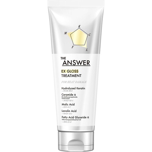 花王 THE ANSWER EXグロストリートメント FOR HEAT DAMAGE 220g