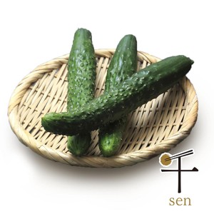 千葉県千葉市産 イボイボきゅうり(四葉胡瓜) 3本 Green Beans