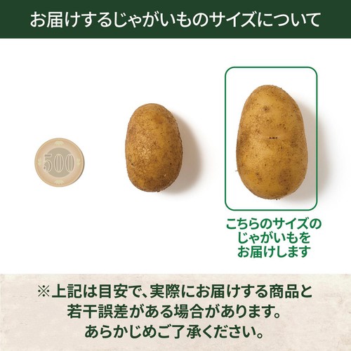 北海道産森浦農場 じゃがいも(インカのめざめ) 400g 1袋 Green Beans