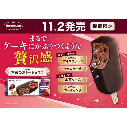 ハーゲンダッツ バー 木苺のガトーショコラ 72ml
