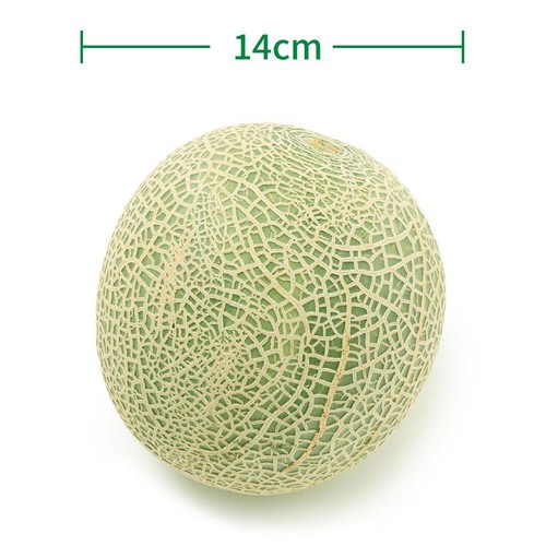 ［食べごろ+］青森県産 工藤さんのレノンメロン 大玉 1.1kg　1個