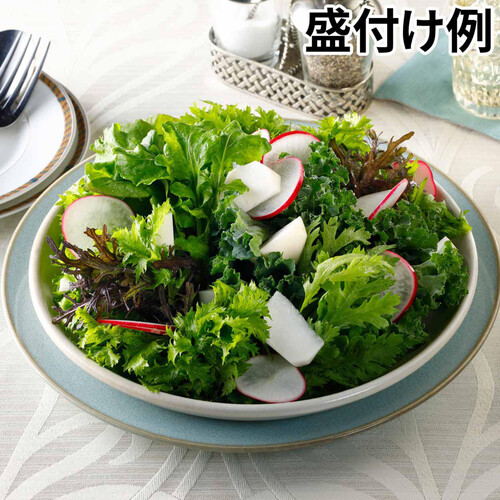 メイソンズ『ペインズレイ』グリーン サラダプレート 4枚セット 千葉県産 柴海農園 サラダセット 1袋 Green Beans | グリーンビーンズ