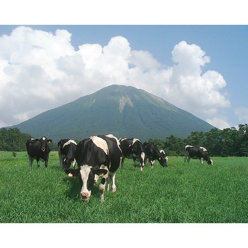 大山乳業農業協同組合 大山 おいしい牛乳モナカ 135ml