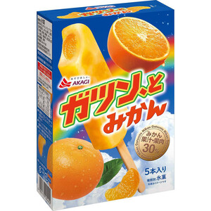 あるみかんさん専用 赤城乳業 ガツン、とみかん 58ml x 5本入 Green Beans