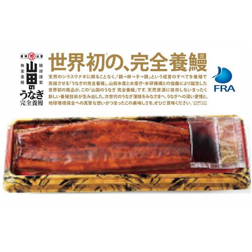 冷凍】 鹿児島県産 うなぎ蒲焼 1尾(204g) Green Beans | グリーン