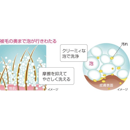 【ペット用】 ライオンペット ペットキレイ 香りの泡リンスインシャンプー 犬猫用 フローラルブーケの香り つめかえ用 400ml
