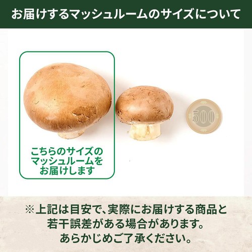 【有機】山形県産 大粒マッシュルーム(ブラウン) 4個 1パック