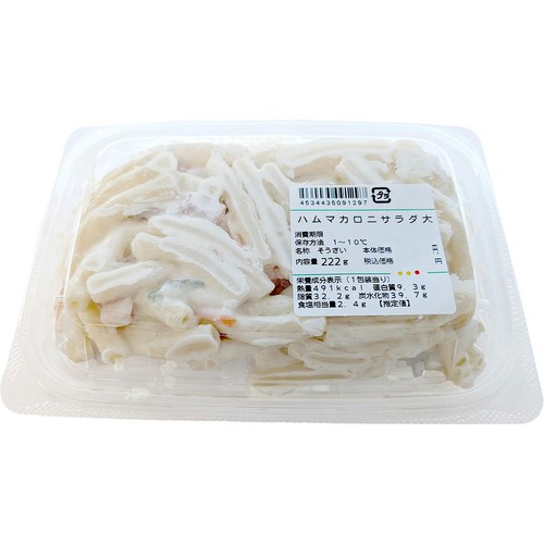 デリア食品 ハムマカロニサラダ 大 1パック(222g)