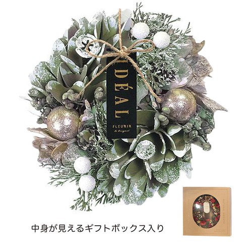 ナチュラルリース 約17.5cm グリーンスパイラル Green Beans