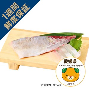 鮮度+]【冷蔵】愛媛県産 養殖活〆しまあじ刺身用(腹) 1冊 80g Green