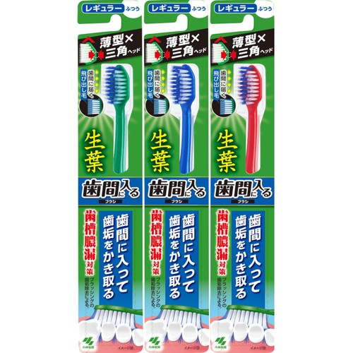 小林製薬 生葉 歯間に入るブラシ レギュラー ふつう 1本