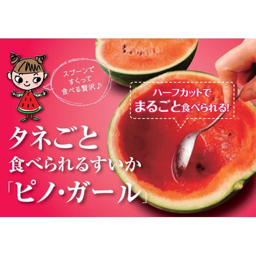 千葉県千葉市産 平山甘熟タネごと食べられるすいかピノ・ガール
