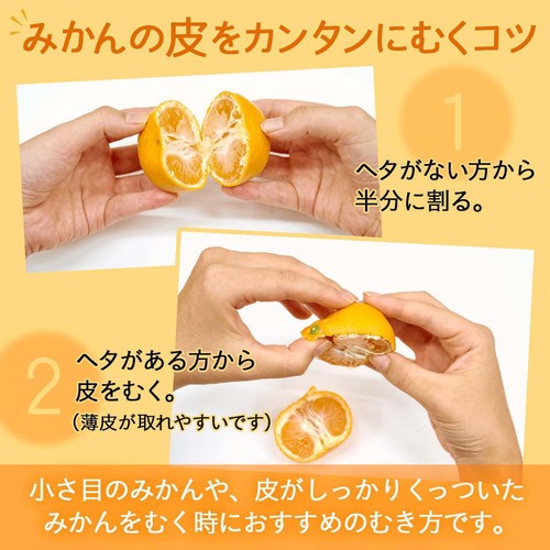 みかん　0603　★ 三宝柑（さんぽうかん）- 三代続く石本果樹園みかん直売屋