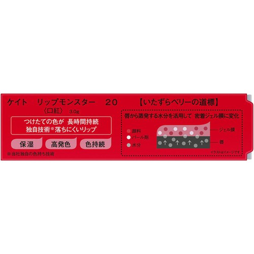 ケイト リップモンスター 20 いたずらベリーの道標 3g