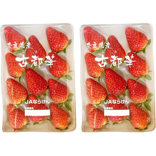 いちごです いちこ いちこ いちご様購入専用 いちご adidas ZX 8000