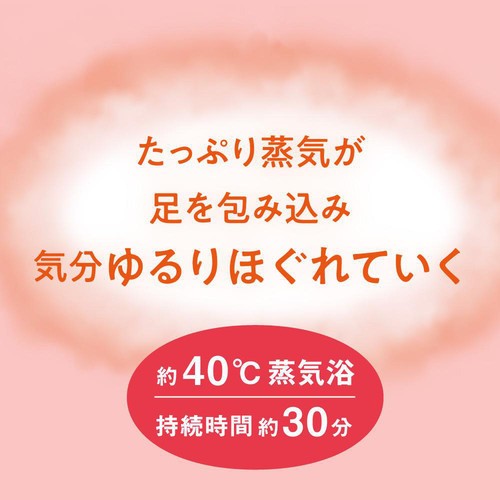 花王 めぐりズム 蒸気めぐる足シート 無香料 6枚