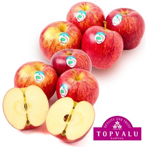 ニュージーランド産 ロイヤルガラりんご 8個 1kg トップバリュ Green