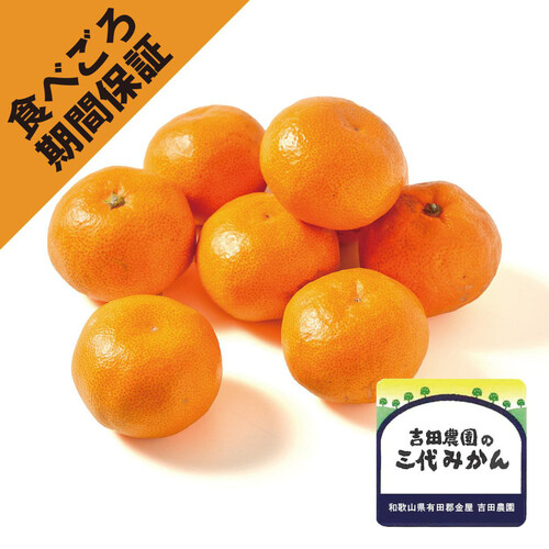 食べごろ+］和歌山県産 ギュッと濃厚 吉田農園の有田三代みかん 520g 6