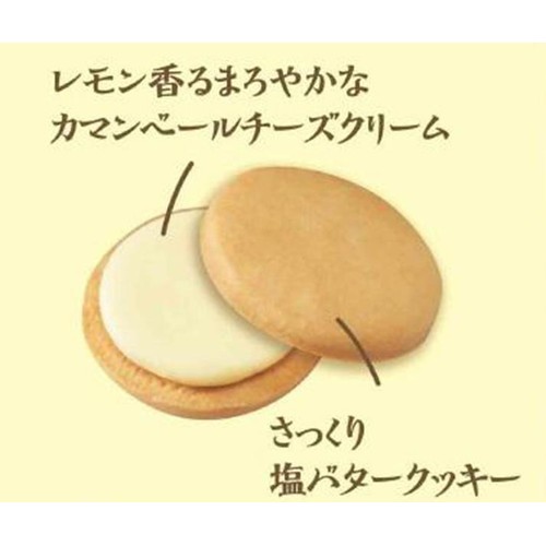 宝製菓 塩バタかまん 瀬戸田レモン 102g