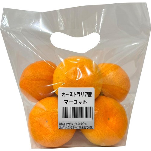 オーストラリア産 手で皮がむけるマーコット 6-8個入 550g