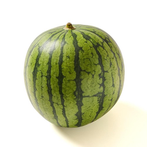 [食べごろ+] 茨城県産 タネごと食べられるすいかピノ・ガール 1.2kg 小さめ1玉