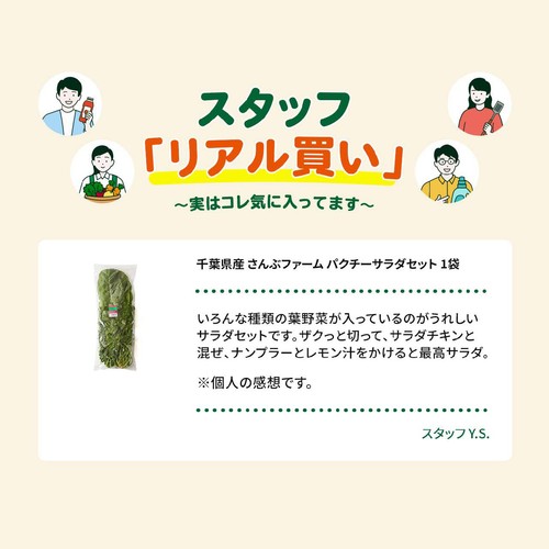 千葉県産 さんぶファーム パクチーサラダセット 1袋