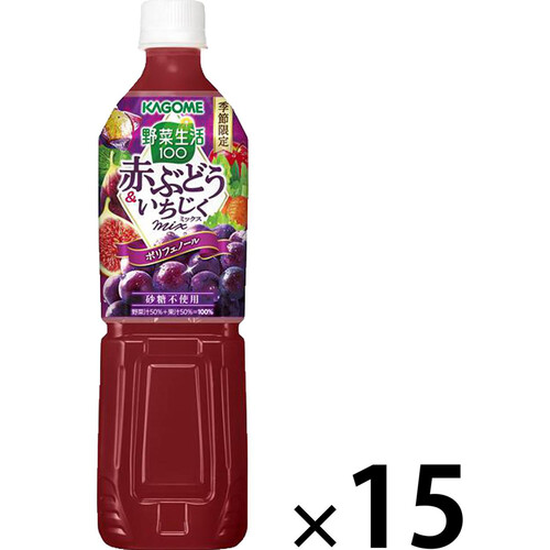 カゴメ 野菜生活100 赤ぶどう&いちじくミックス 1ケース 720ml x 15本