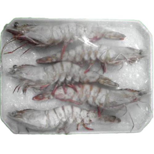 冷凍】MSC認証オーストラリア産天然有頭えび 5尾(190g) トップバリュ