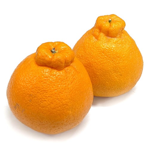 熊本県産 デコポン(しらぬい) 2個 450g