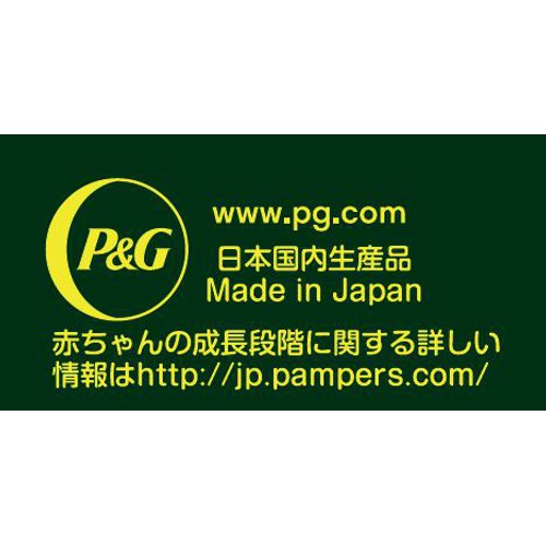 P&G パンパース おやすみパンツ ビッグ(12～17kg) 48枚