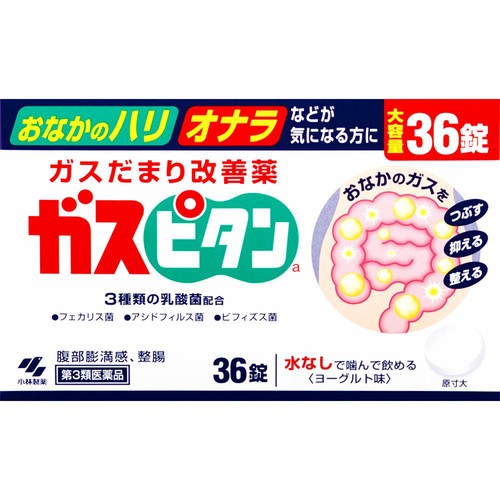 【第3類医薬品】ガスピタン 36錠