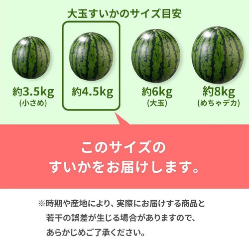 山形県産 心祝の金色羅皇 大玉すいか 4.5kg 1玉