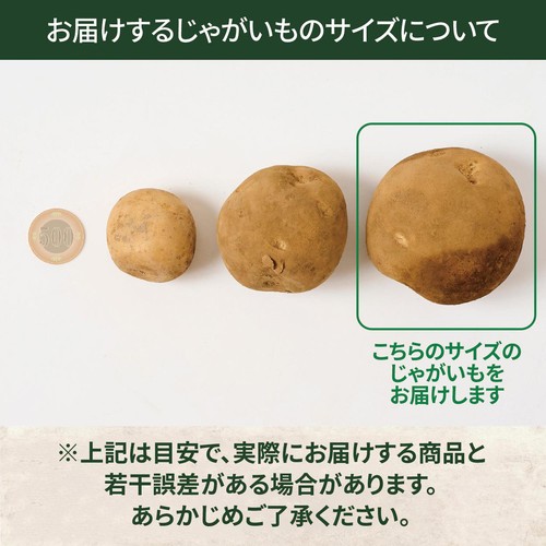 じゃがいも 北海道産 じゃがいも” 訳あり 約10kg 大きさおまかせ【予約 8