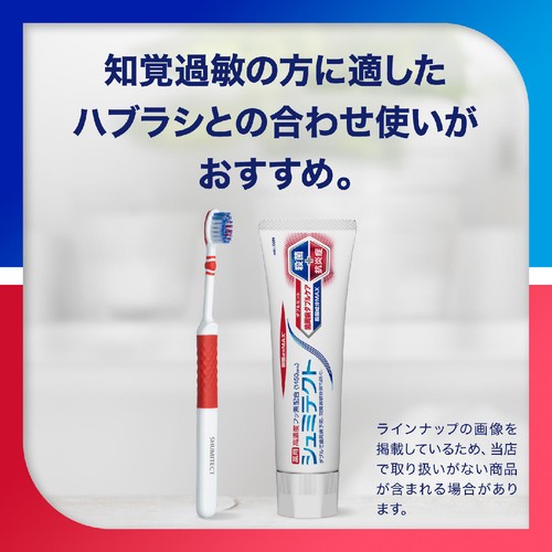 アース　シュミテクト歯周トータルケア90g24個セット Amazon | GSK シュミテクト 歯周病ケア 90g | シュミテクト | 大人用