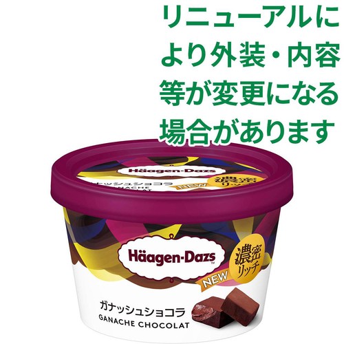 ハーゲンダッツ ミニカップ ガナッシュショコラ 110ml