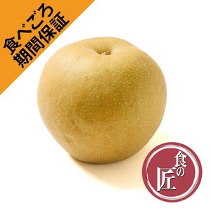 ⚠️みずいろ⚠️茨城県産　梨/甘太　訳あり品　キロ 食べごろ+］茨城県産 下妻の甘熟梨(幸水) 大玉 1個 Green Beans
