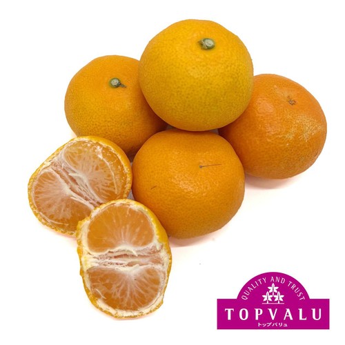 愛媛県産真穴地区 みかん S-Lサイズ 600g 1パック トップバリュ Green