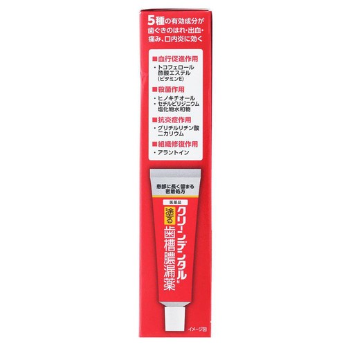 【第3類医薬品】クリーンデンタルN 歯槽膿漏薬 16g