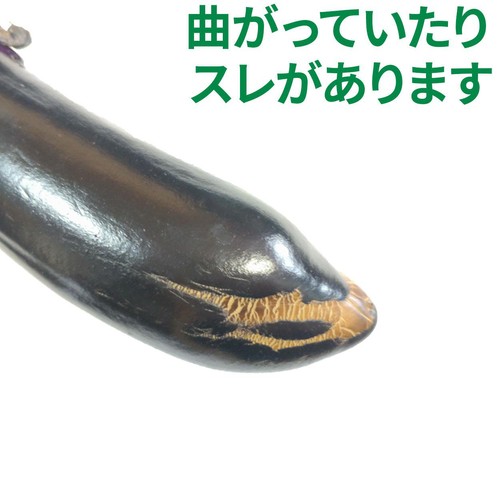 茨城県産栃食グループ 理由あり茄子 700g