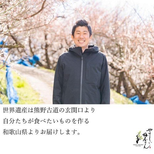 深見梅店 やさしい梅屋さん 有機梅干し しそ漬け梅 100g
