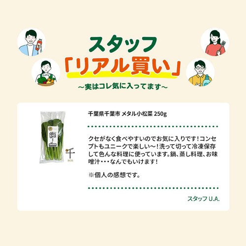 千葉県千葉市 メタル小松菜 250g