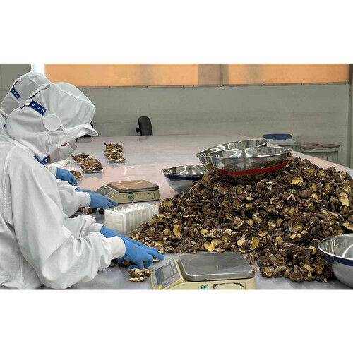 加藤産業 国産スライス椎茸(菌床) 15g Green Beans | グリーンビーンズ