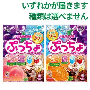 UHA味覚糖 ぷっちょ袋 4種アソート 88g Green Beans | グリーン