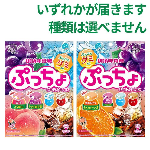UHA味覚糖 ぷっちょ袋 4種アソート 88g