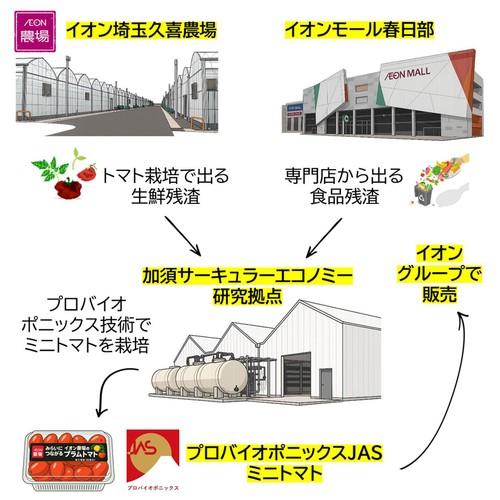 [鮮度+] 埼玉県産 プラムトマト (へたなし) 230g