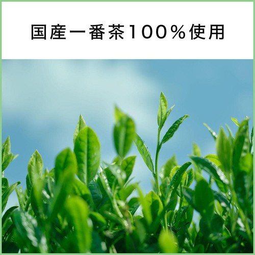 伊藤園 おーいお茶 緑茶 1ケース 600ml x 24本