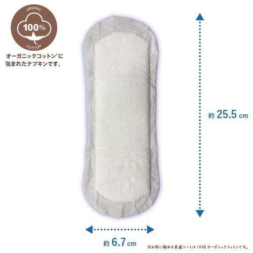 コットン・ラボ オーガニックコットンナプキン ふつうの日用 羽なし 25.5cm 16枚